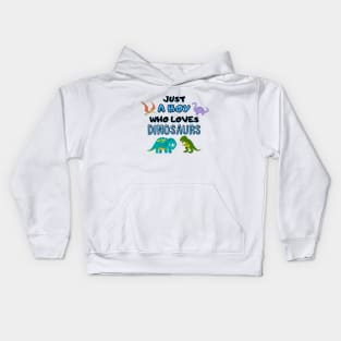 Just A Boy Who Loves Dinosaurs Kids Hoodie